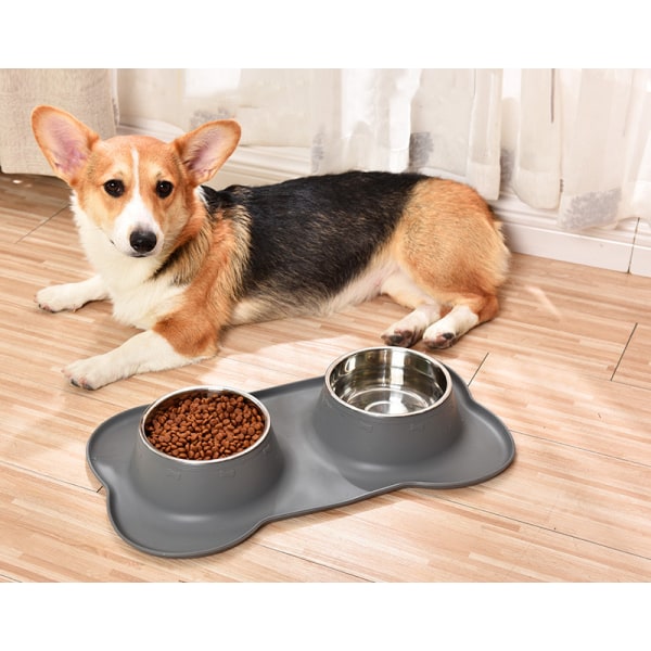 Slow Feeder Dog Bowl, Bowl with Non-Slip Silicone Tray Mat, Bowl