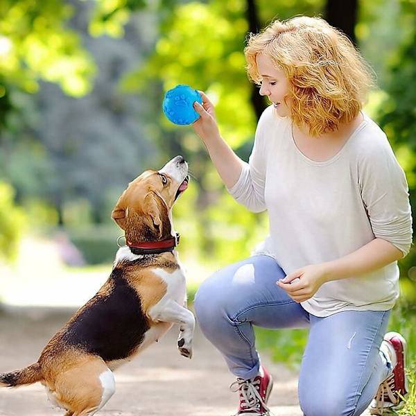 Hund leksak bollar, ljud leksak bollar, hund leksak tugga boll, valp molar tänder