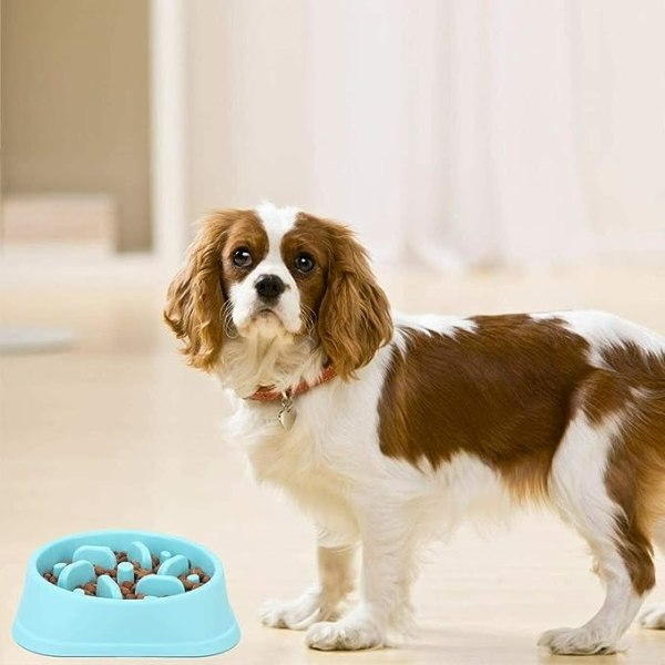 Slow Food Bowl för hundar, halkfri pusselskål - Anti-sväljningsskålar för långsammare utfodring av husdjur