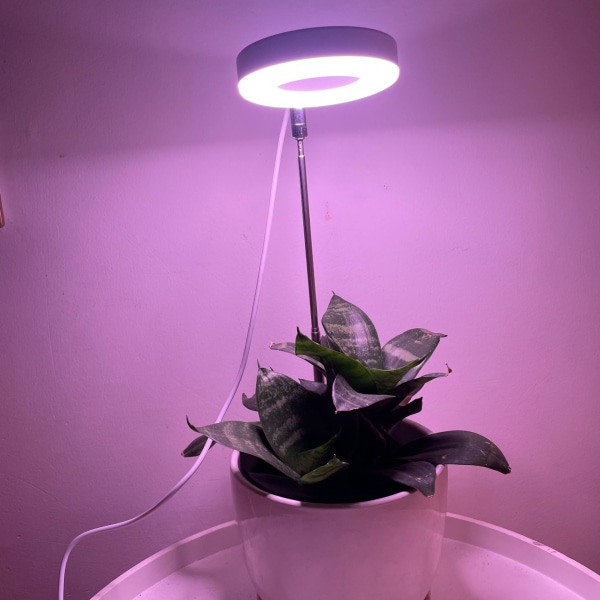 LED växtlampa Full Spectrum inomhusodling Succulent Grön