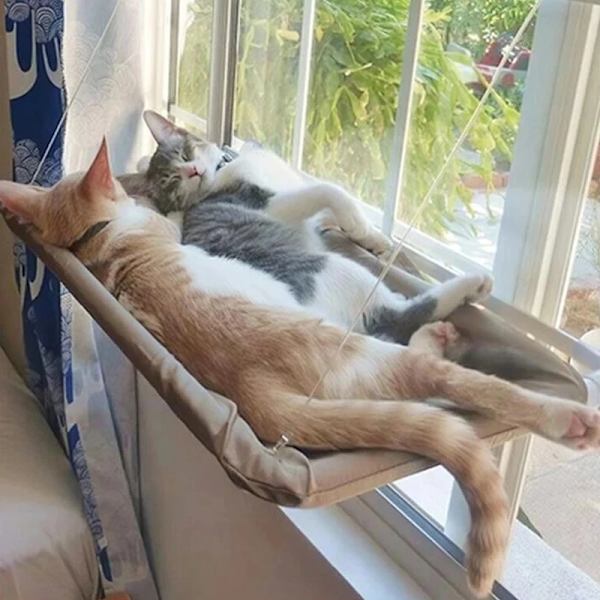 Söta husdjurshängande sängar som tål 20 kg katt solig fönsterplats montering Pe