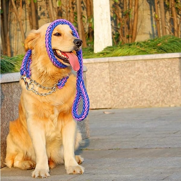 Hundehalsbånd Anti-trekk Tau Treningsbånd Flettet Halsbånd Trening W