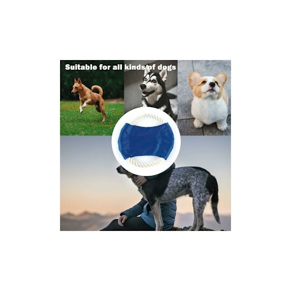 Frisbees för hundar, Disc Dog Toy, Interaktiv träning utomhus