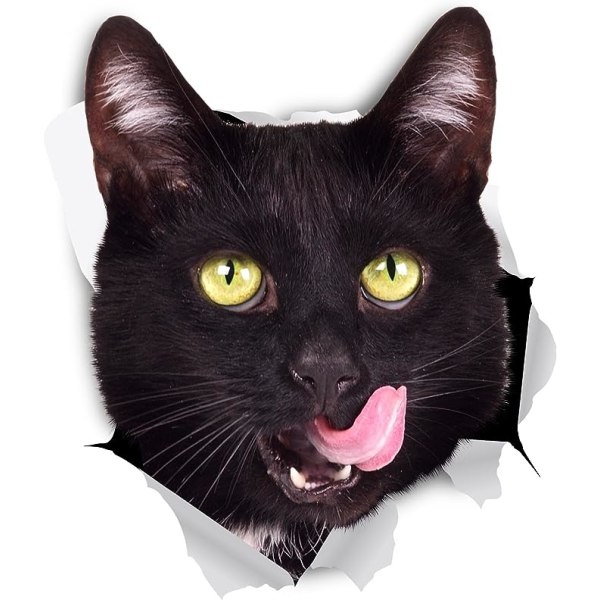 3D-kissatarrat - 2 kpl set - Hungry Black Cat -seinätarrat - Sänky