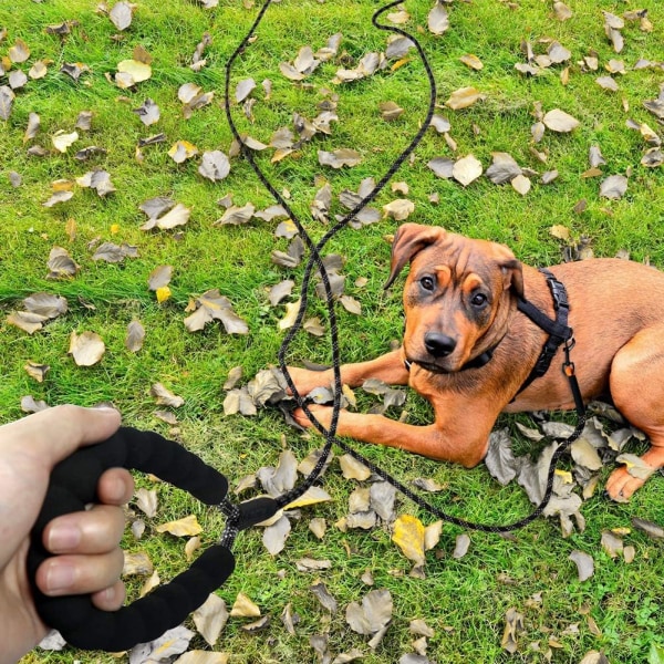 Hundehalsbånd 10m, Langt tauhundehalsbånd med polstret håndtak for små til store hunder, Svart