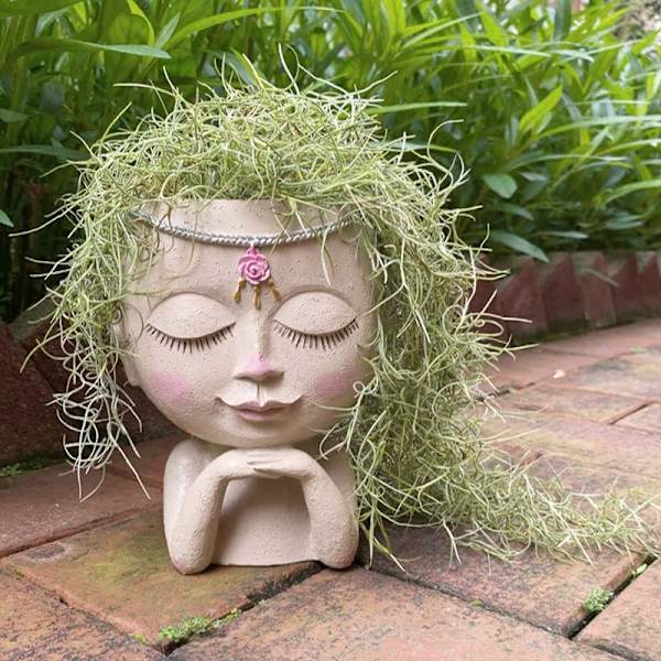 Ansiktsblomkruka Huvudkruka Succulent Kruka Kruka Kaktus Kruka