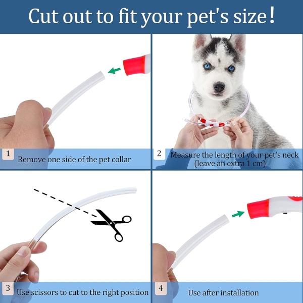 LED lysende hundehalsbånd genopladelig og justerbar længde, lys
