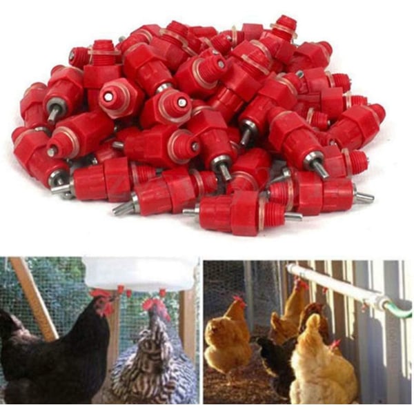 10 Pieces Automatic Chicken Water Nipple Drinker Feeders Poultry