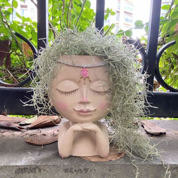 Ansiktsblomkruka Huvudkruka Succulent Kruka Kruka Kaktus Kruka