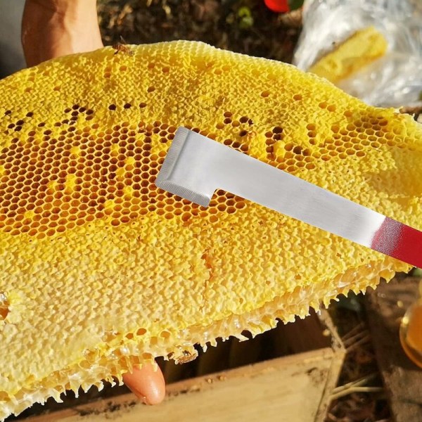 Hive Scraper 2-pak rustfrit stål bihive skraber værktøjer J ramme løfter gripper og skraber biavl udstyr til biavlere