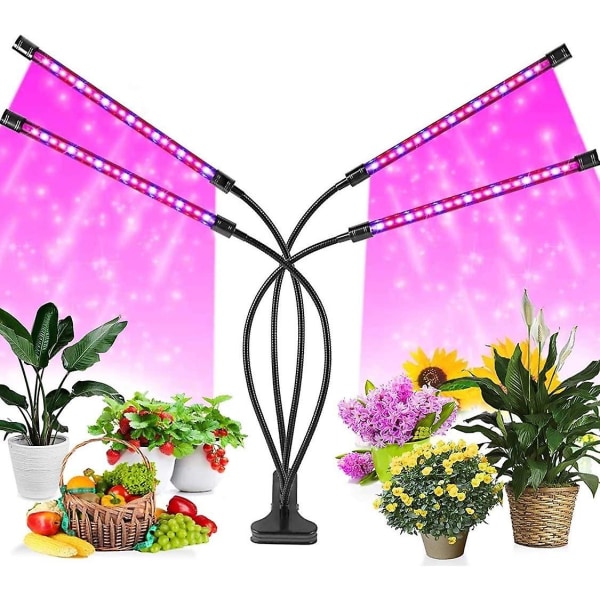Kasvien lämmityslamppu Kasvin täyttövalo 4 Clip Growth Lamppu Punainen ja Bl
