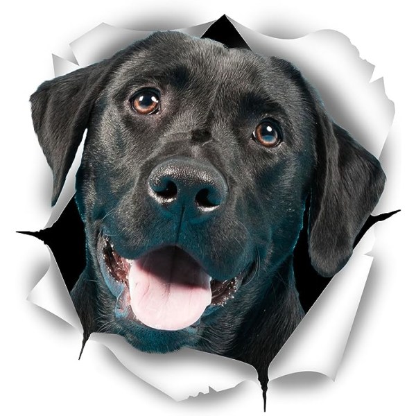 3D Dog Stickers - 2 Pack - Söta svarta Labrador Stickers för vägg,
