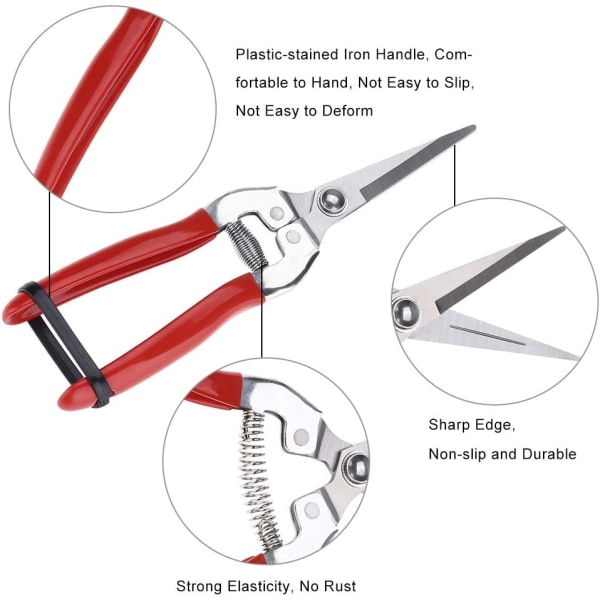 Beskärningssax i rostfritt stål för trädgård, professionell handbeskärare