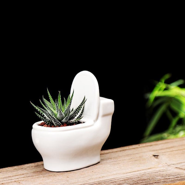 4" (~10.2 cm) Mini Small Planter Ceramic Toilet Planter with Drain Holes (P