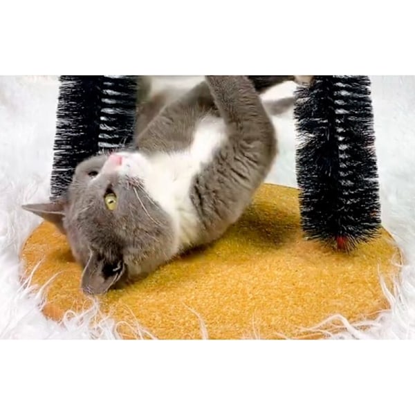 Stor klösbåge-massage för katt