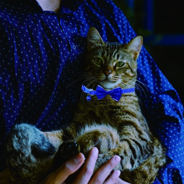 6 stk. kattekraver med bjælde - personligt halsbånd med sød sløjfe