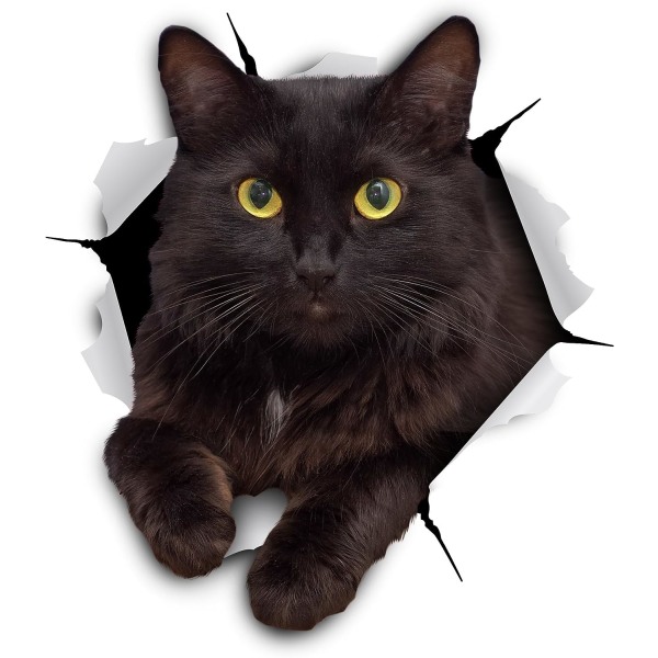 3D Cat Stickers - 5 Pack - Black Cat Wall Decals - Cat Lover Gift