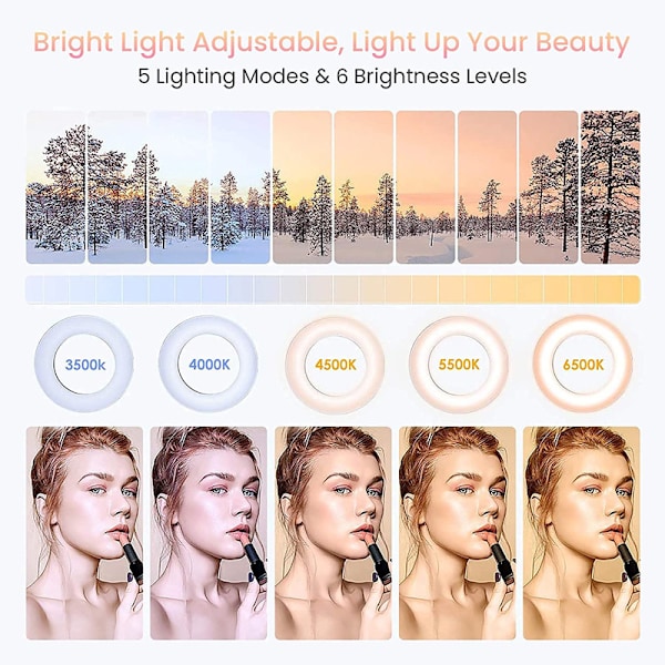 Ring Light Professionell Selfie LED Ring Light för Dator, Dimbar
