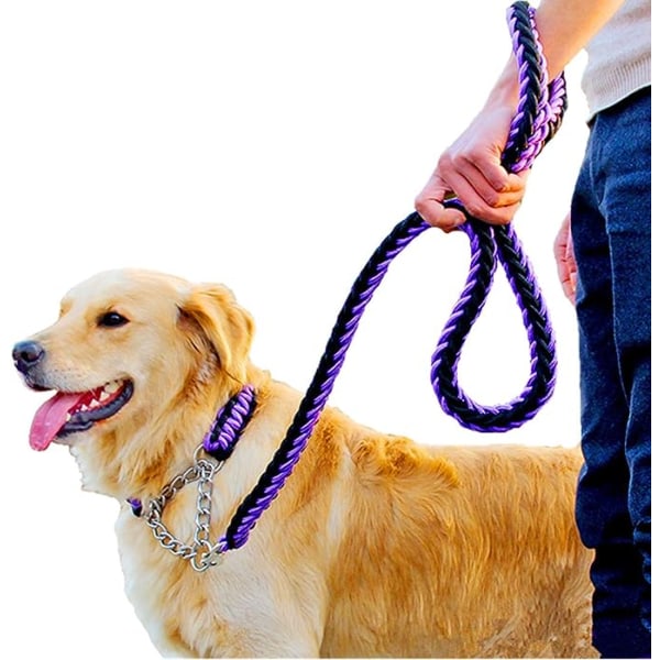 Hundkoppel Anti-Pull Rope Training koppel Flätad krage Training W
