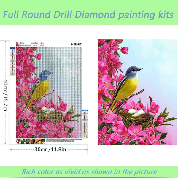 Gör-det-själv diamond painting fågel, blommadiamantkonst för vuxna