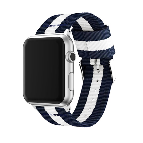 Nylonarmband från LEMAN till Apple Watch 3/2/1 42mm Blå-Grön