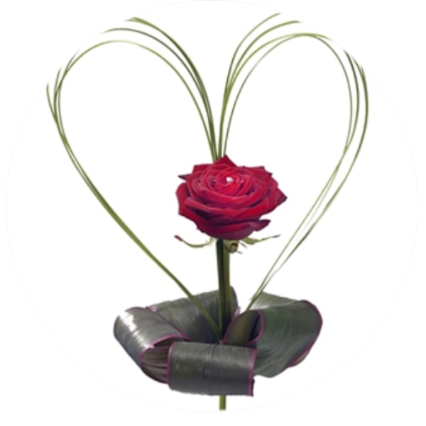 "A rose 4 U" Elegant Mobilhållare - Pop-stand -