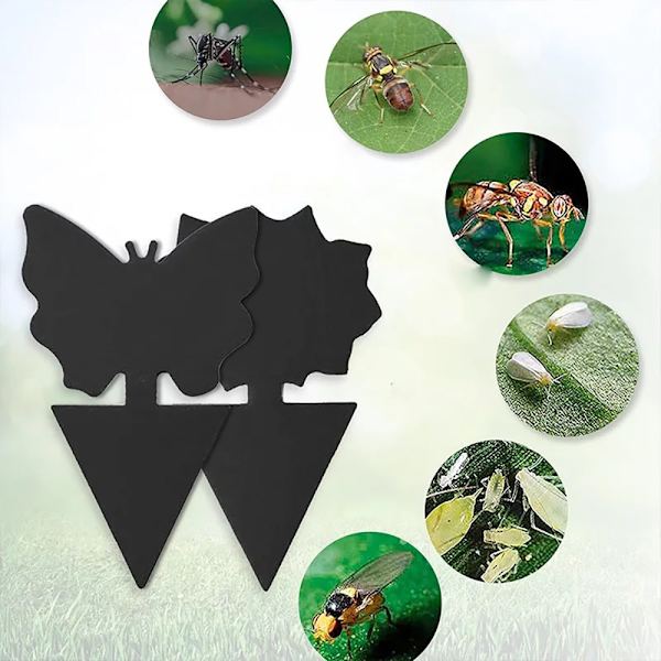 Praktiska Effektfulla Flugfällor / Insektsfällor (6-Pack) FJÄRRIL