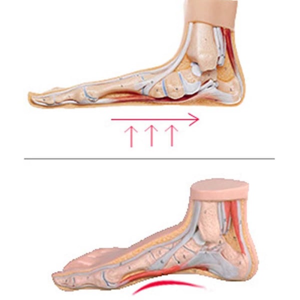 Bekväma Geleinlägg Arch Support Transparent/Genomskinlig