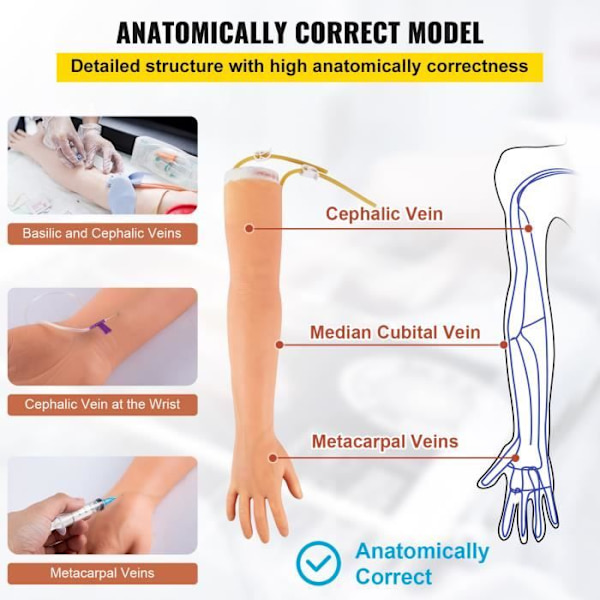 Intravenös övningsarm - VEVOR - 55x11x8 cm, 1,8 kg, med bärväska, För laboratorieskolor