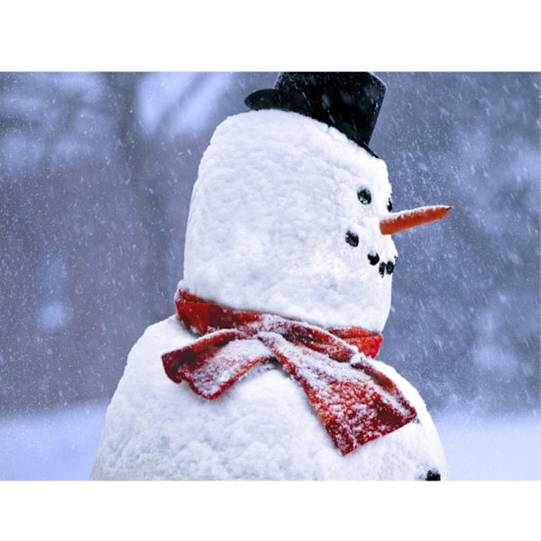 13-i-1 Snögubbe Snöman Dekoration multifärg