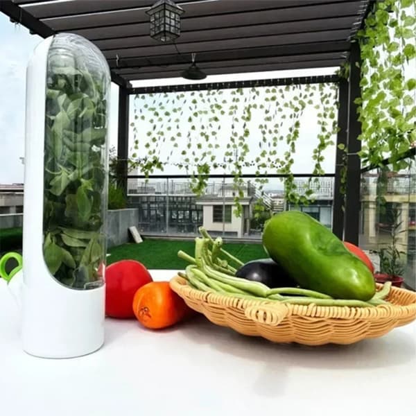 Køleskab Grøntsager Frisk Holde Container Planter Opbevaring Green