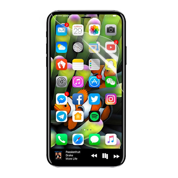 Fullskjermbeskytter iPhone X Transparent