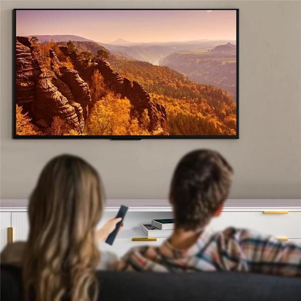 Fjernkontrollerstatning ERF3B69 For Hisense TV Black