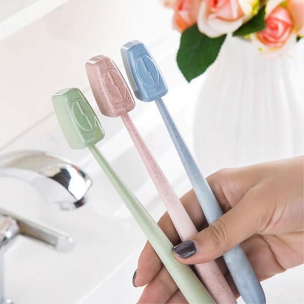 4 hammasharjan kantta Kotelot hammasharjahammasharjoille Blue one size