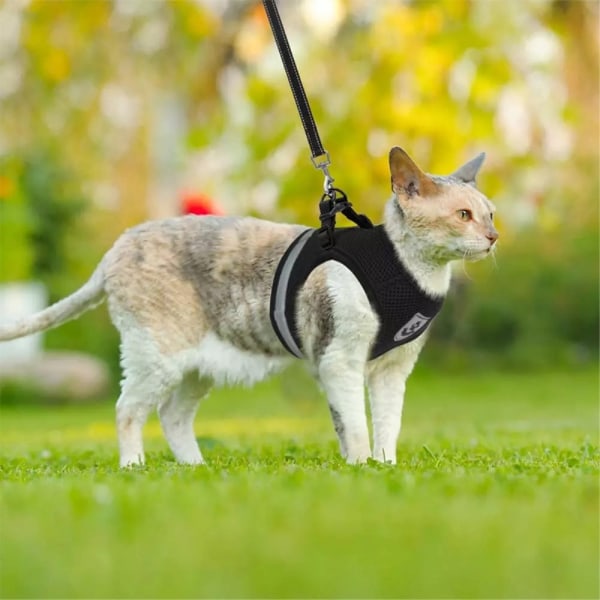 Reflekterande hundsele för liten medelstor hund - svart/XL Black