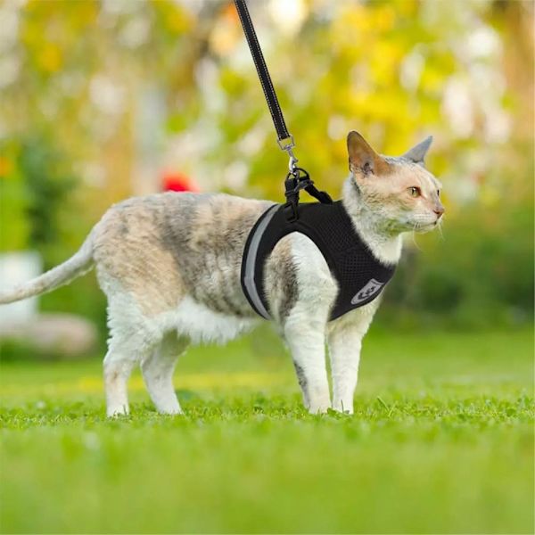 Reflekterende hundesele til små mellemstore hunde - Sort/XL Black
