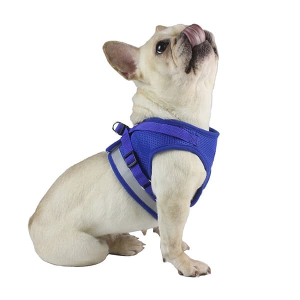 Reflekterende hundesele til små mellemstore hunde - Sort/S Black