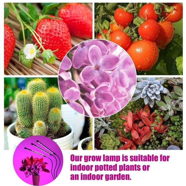 3 - huvud Grow Light 60 LED - glödlampor växtodling Auto PÅ/AV Grön