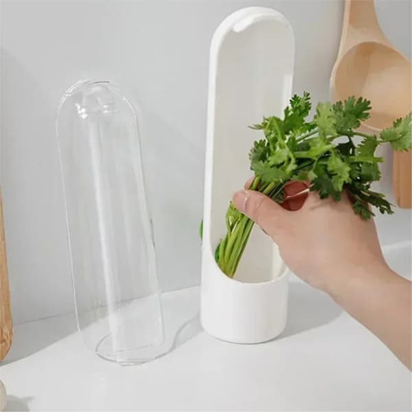 Køleskab Grøntsager Frisk Holde Container Planter Opbevaring Green