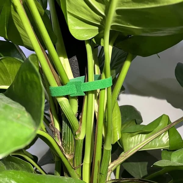 10 stk Nylon Magic Tape Hageplantebånd 10x1cm Green