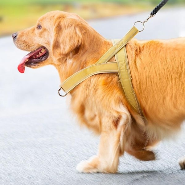 Taktisk sele med håndtak for hundetrening og turgåing, størrelse S Black