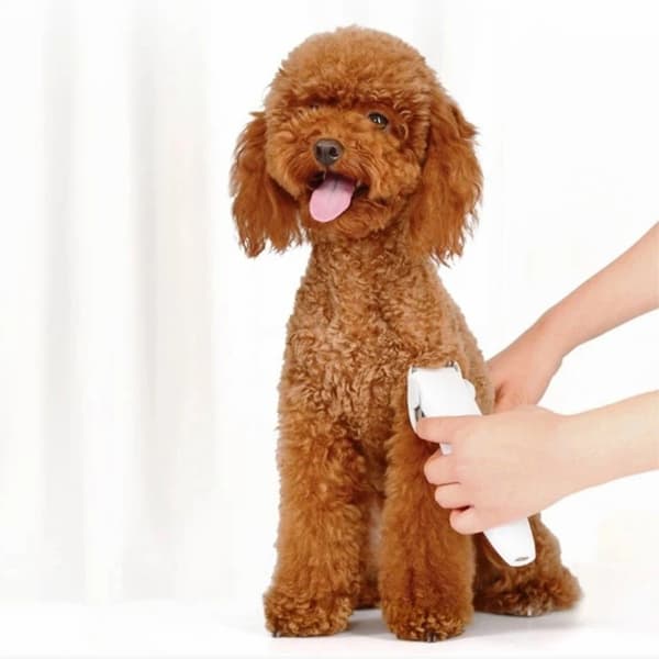 XIAOMI Pawbby Elektrisk Rakapparat Trimmer För Husdjur Hund Vit