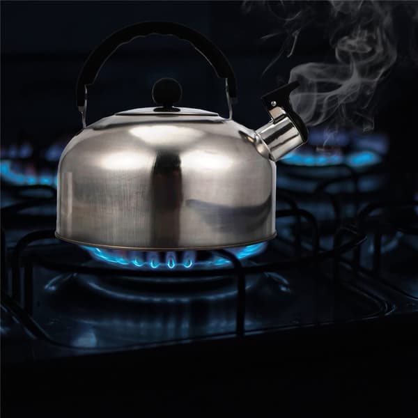 Tekande, temaskine, 4L, fløjtekedel i rustfrit stål, til gas, elektrisk induktion Silver