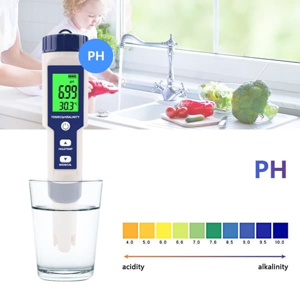 5-i-1 test for vann kvalitet EC pH TDS Temperatur Saltholdighet Grey