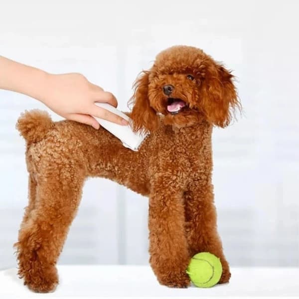 XIAOMI Pawbby Elektrisk Rakapparat Trimmer För Husdjur Hund Vit
