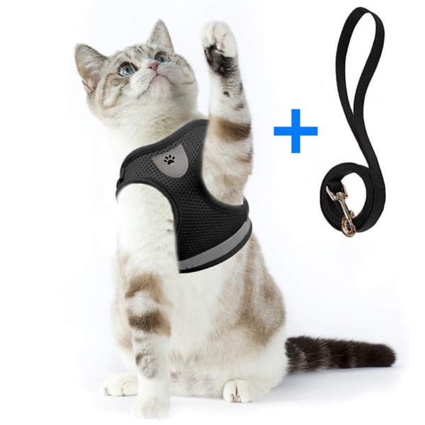Reflekterende Hundeselet for Små og Mellomstore Hunder - Svart/L Black