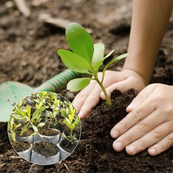 100 planteposer i flat stoff, 16x20cm / Topp: 10x15cm White