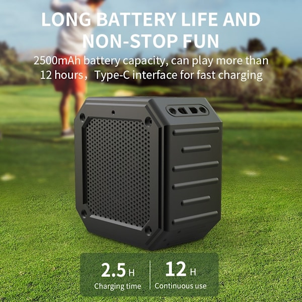 Magnetisk Bluetooth högtalare golfvagn Vattentät subwoofer mikrofon Svart