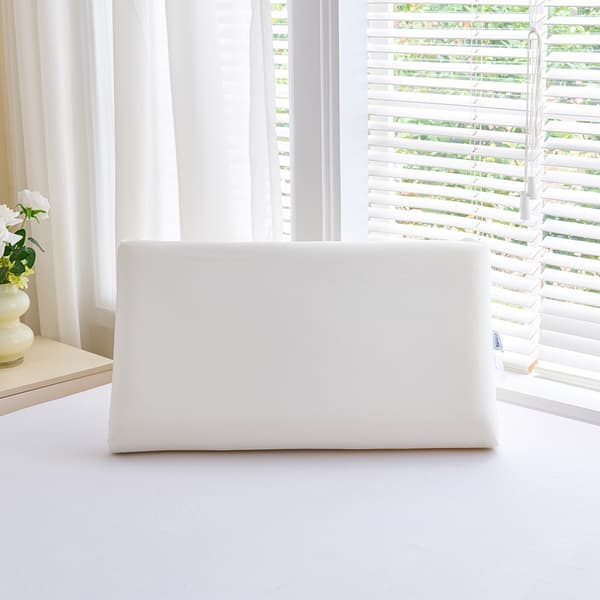 ErgoCool Memory Foam Kudde 42 x 70 cm Vit