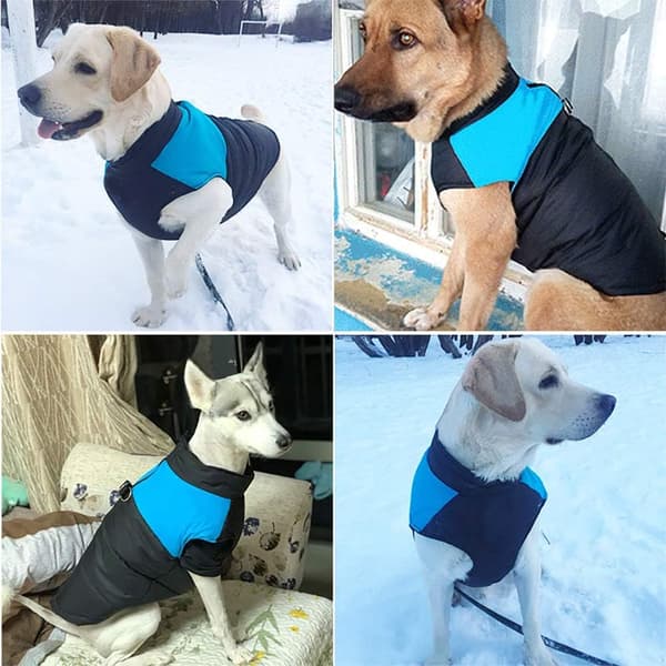 Vattentät hundjacka, vinterkläder för husdjur, snösäker, vattentät, varm jacka för husdjur, hundjacka red S